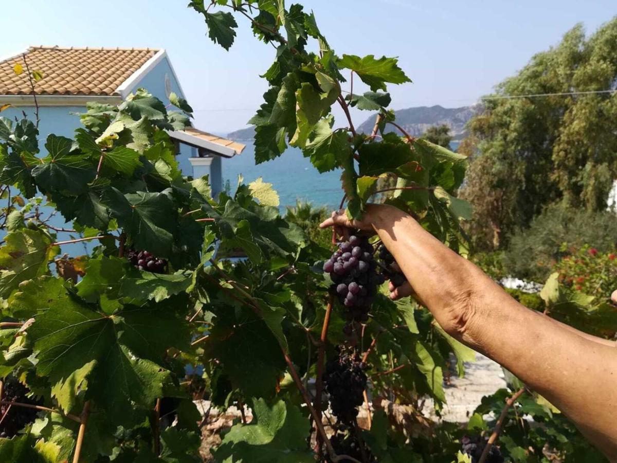 Cozy Apartment Few Mins From Beach Corfu Agios Georgios Pagon Exterior foto